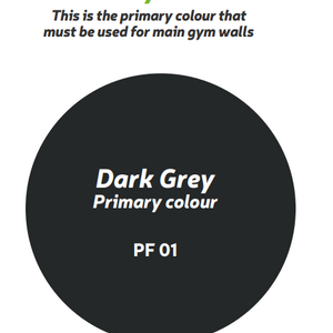 CT Full Gloss EF Grey - Suitable for New Clubs February 2023 onwards